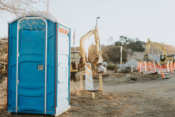 Best Sanitation services for porta potties  in Menomonee Falls, WI